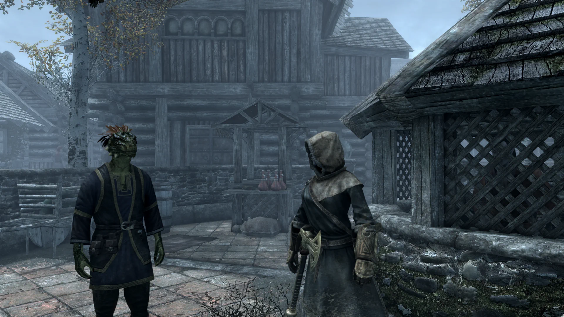 The Dwemer Seeker consulting an Argonian scholar in a misty market square