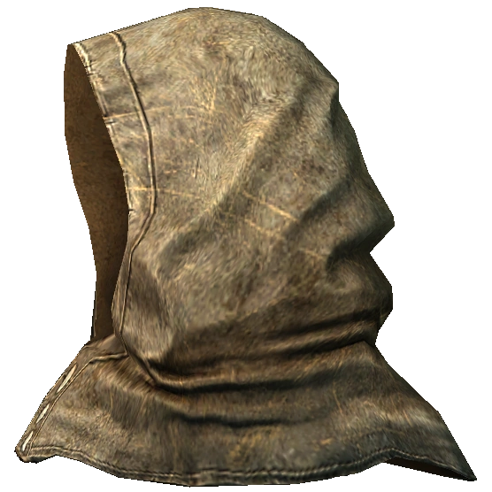 A simple fur-lined Mage Hood