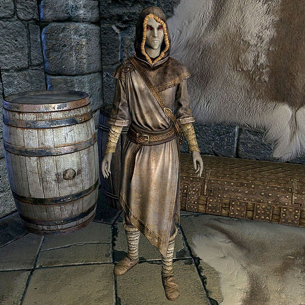 Brelyna Maryon at the College of Winterhold