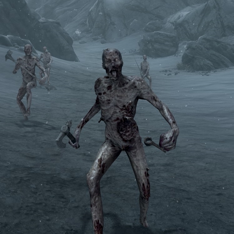 A reanimated zombie serving a Skyrim necromancer