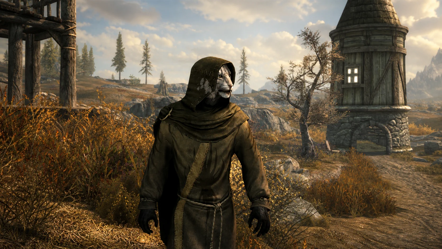 The hooded Khajiit wearing simple green robes on the open tundra road
