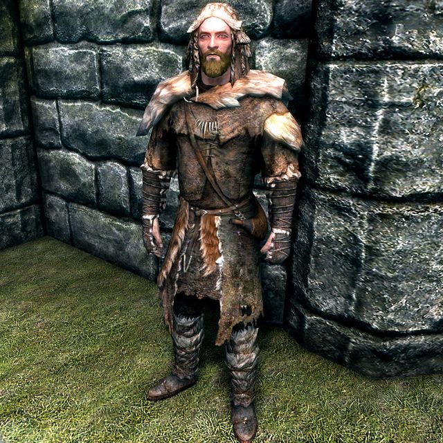 A complete set of Fur Armor