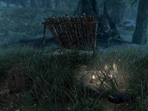 A compact wilderness campsite beneath the northern sky
