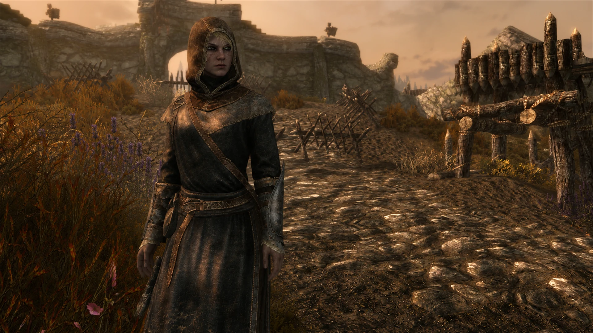 A master-robed Breton Vigilant standing watch beside the defenses on the Fort Greymoor road