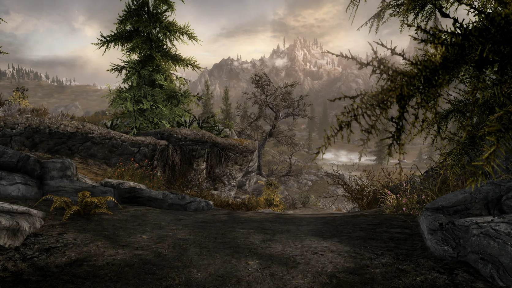 A mountain and forest valley seen through the trees above Bloated Man's Grotto