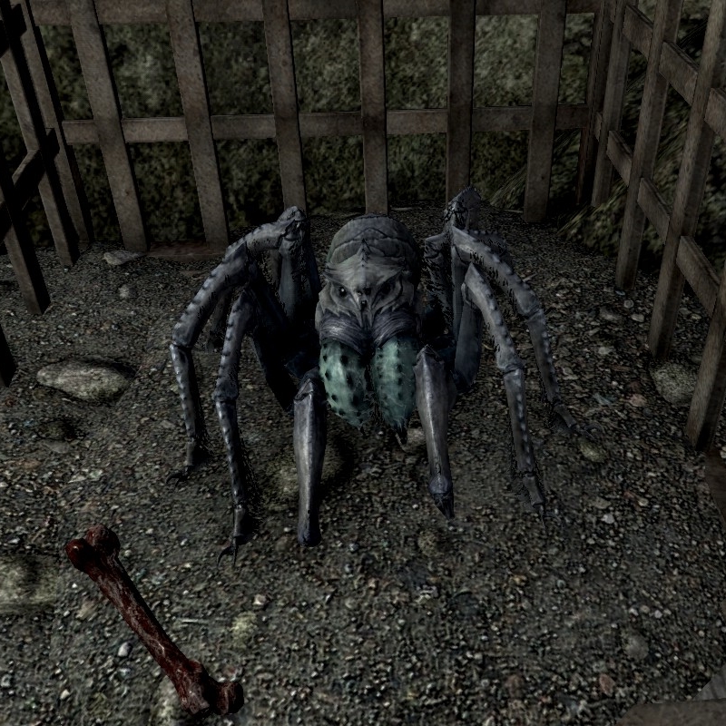 Arachnia the tamed frostbite spider