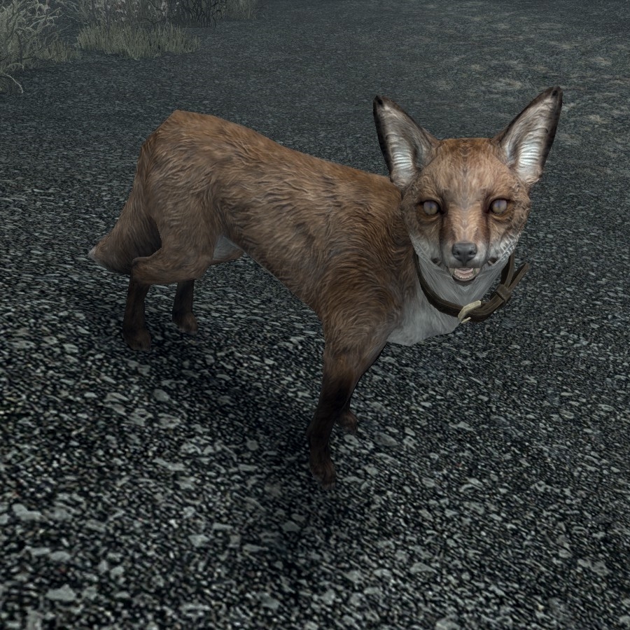 Sweet Roll the tamed fox